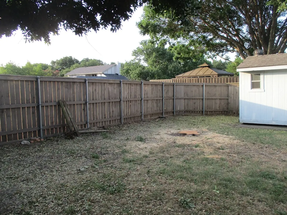 Cleared yard after professional tree removal in Hobbsville